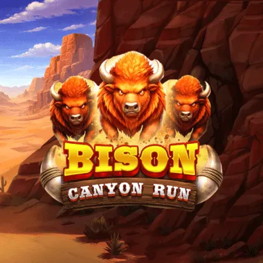Bison - Canyon Run